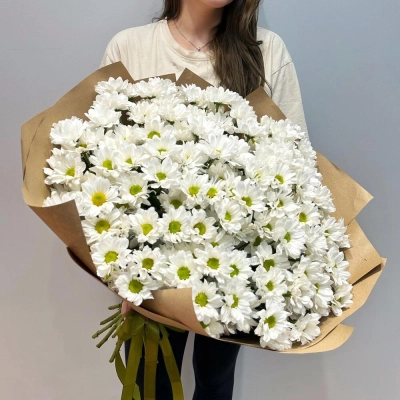 Букет «21 ромашка» – нежные белые кустовые хризантемы в натуральном стиле Самара Самарская область Букет «21 ромашка» – нежные белые кустовые хризантемы в натуральном стиле Самара Самарская область