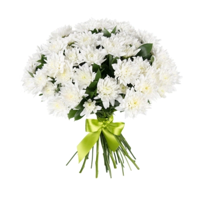 Букет «Белый ангел» – скульптурная чистота белых хризантем Самара Самарская область Букет «Белый ангел» – скульптурная чистота белых хризантем Самара Самарская область