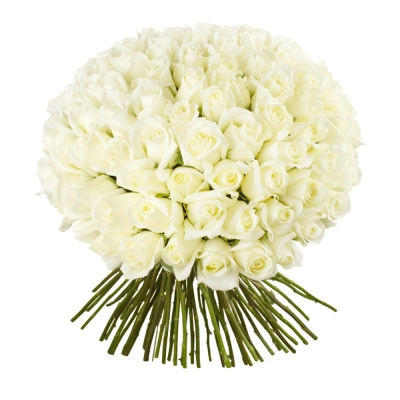 Роскошный букет из 101 белой розы – воплощение бесконечной любви Самара Самарская область Роскошный букет из 101 белой розы – воплощение бесконечной любви Самара Самарская область