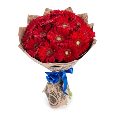Яркий букет из 15 красных гербер – воплощение страсти и жизнерадостности Самара Самарская область Яркий букет из 15 красных гербер – воплощение страсти и жизнерадостности Самара Самарская область