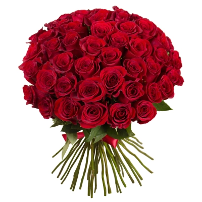 Букет «О, Шарман!» – 51 роскошная эквадорская роза Самара Самарская область Букет «О, Шарман!» – 51 роскошная эквадорская роза Самара Самарская область