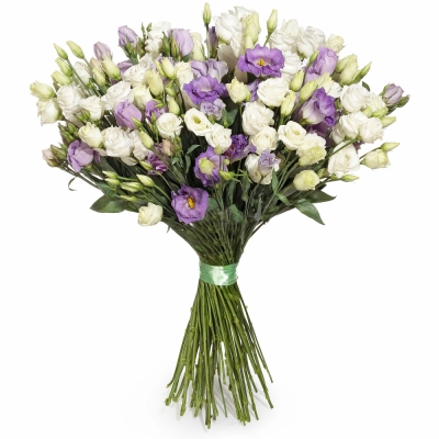 Изысканный букет из белых и фиолетовых эустом – гармония контрастов Самара Самарская область Изысканный букет из белых и фиолетовых эустом – гармония контрастов Самара Самарская область