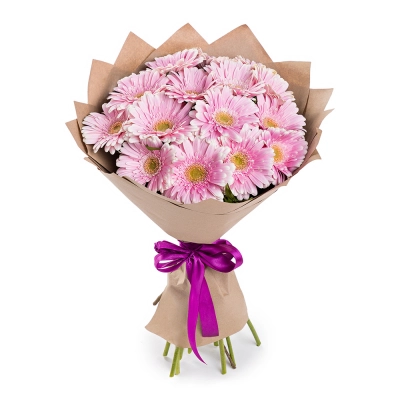 Нежный букет из 15 розовых гербер – воплощение трогательных чувств Самара Самарская область Нежный букет из 15 розовых гербер – воплощение трогательных чувств Самара Самарская область
