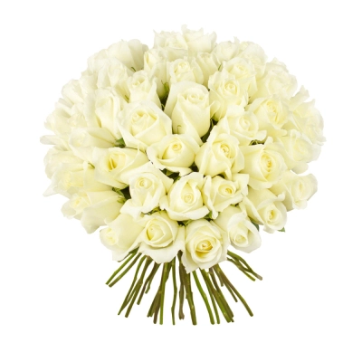 Роскошный букет из 51 белой розы – символ безграничной преданности Самара Самарская область Роскошный букет из 51 белой розы – символ безграничной преданности Самара Самарская область