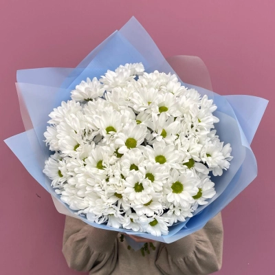 Букет «Ромашковое поле» – свежесть белых хризантем Самара Самарская область Букет «Ромашковое поле» – свежесть белых хризантем Самара Самарская область