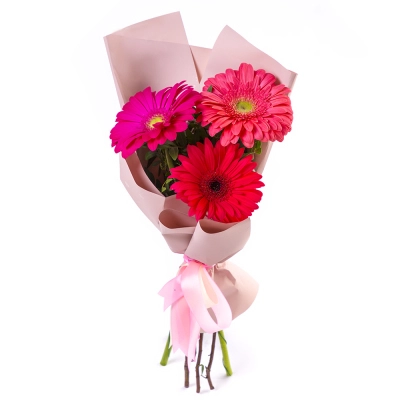 Яркий букет из 3 разноцветных гербер – маленькое чудо в ваших руках Самара Самарская область Яркий букет из 3 разноцветных гербер – маленькое чудо в ваших руках Самара Самарская область