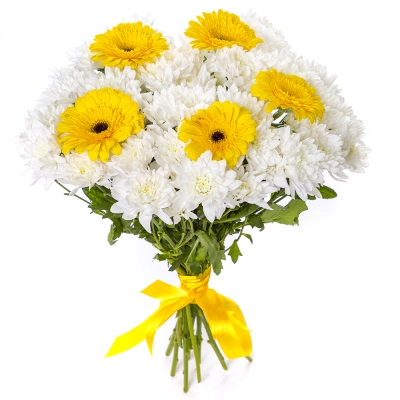 Солнечный букет из желтых гербер и белых хризантем – радость в каждом лепестке Самара Самарская область Солнечный букет из желтых гербер и белых хризантем – радость в каждом лепестке Самара Самарская область