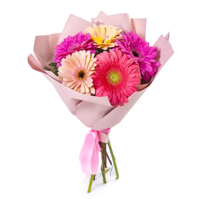 Яркий букет из 5 разноцветных гербер – солнечное настроение в подарок Самара Самарская область Яркий букет из 5 разноцветных гербер – солнечное настроение в подарок Самара Самарская область