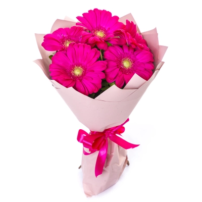 Букет из 5 малиновых гербер – сочный акцент вашего подарка Самара Самарская область Букет из 5 малиновых гербер – сочный акцент вашего подарка Самара Самарская область