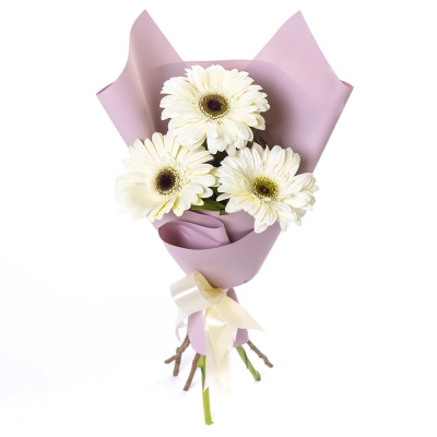 Нежный букет из 3 белых гербер – символ искренности и света Самара Самарская область Нежный букет из 3 белых гербер – символ искренности и света Самара Самарская область