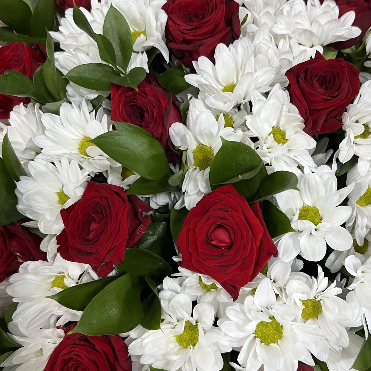 Букет «Романтика» — гармония красных роз и белоснежных хризантем Самара Самарская область Букет «Романтика» — гармония красных роз и белоснежных хризантем Самара Самарская область