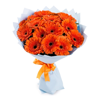 Яркий букет из 15 оранжевых гербер – как кусочек солнца в ваших руках Самара Самарская область Яркий букет из 15 оранжевых гербер – как кусочек солнца в ваших руках Самара Самарская область