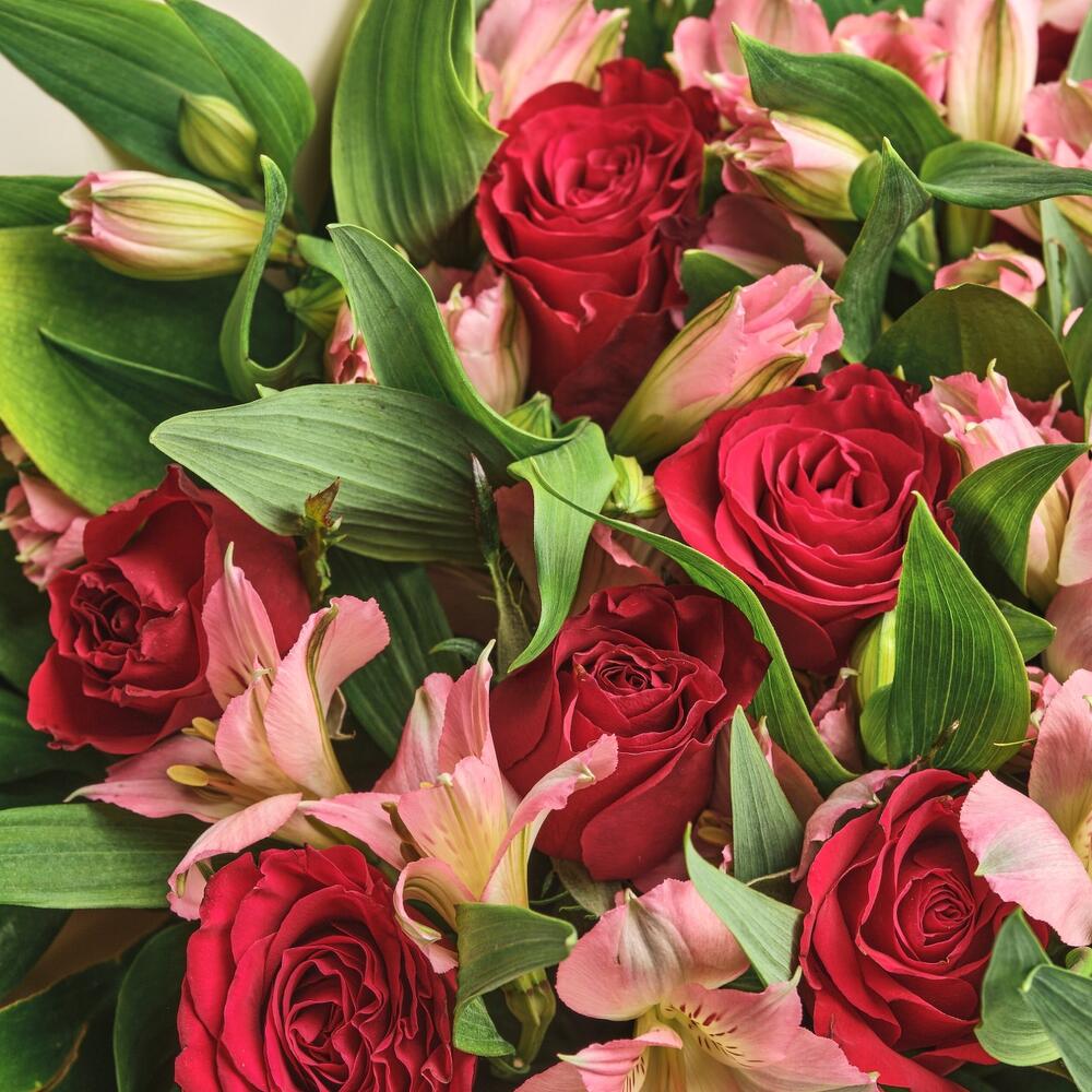 Букет «Нежность слов» — гармония красных роз и нежных альстромерий Самара Самарская область