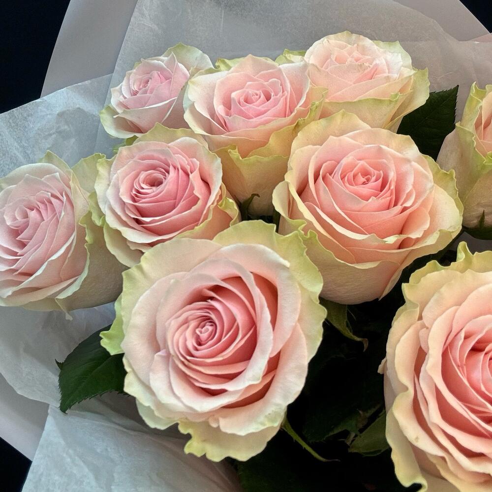 Букет из 9 розовых роз – нежность в каждом лепестке Самара Самарская область